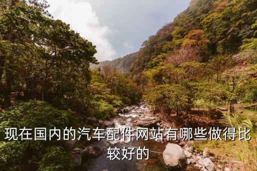 现在国内的汽车配件网站有哪些做得比较好的