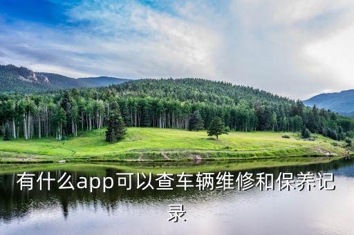 有什么app可以查车辆维修和保养记录