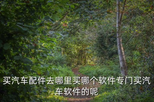 买汽车配件去哪里买哪个软件专门买汽车软件的呢