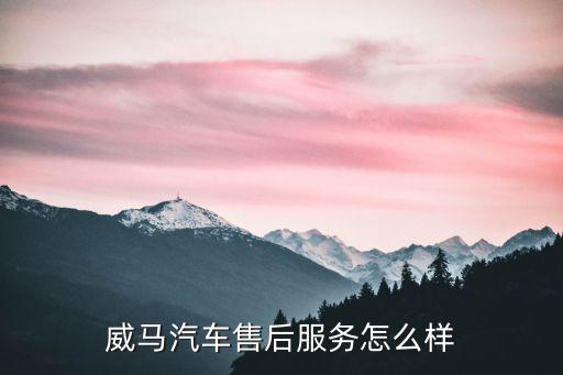 威马汽车售后服务怎么样