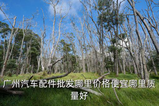 广州汽车配件批发哪里价格便宜哪里质量好