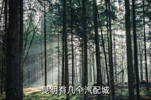 昆明有几个汽配城