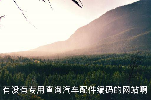 有没有专用查询汽车配件编码的网站啊