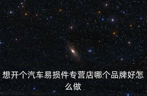 想开个汽车易损件专营店哪个品牌好怎么做