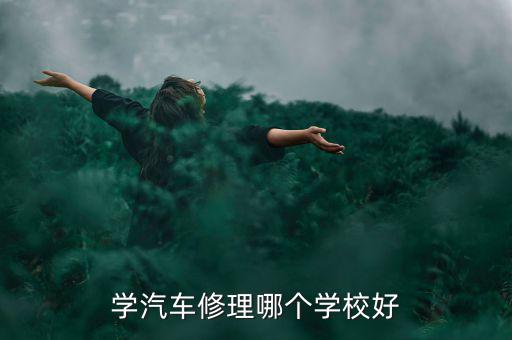 汽车修理学校哪里好，汽修培训学校到底选择哪个学校比较好