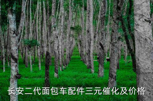 长安二代面包车配件三元催化及价格