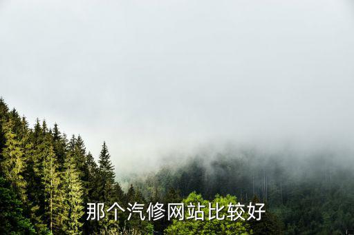 那个汽修网站比较好
