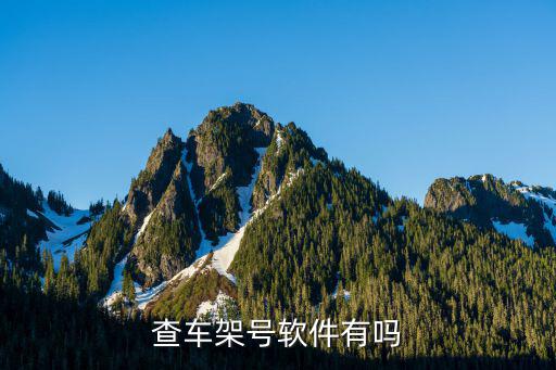 查车架号软件有吗