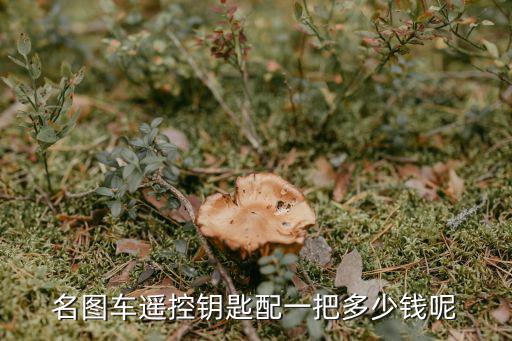 名图车遥控钥匙配一把多少钱呢