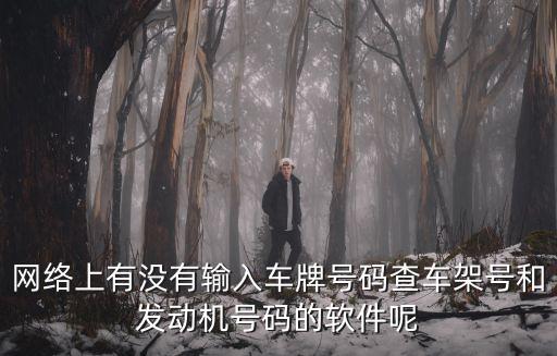 网络上有没有输入车牌号码查车架号和发动机号码的软件呢