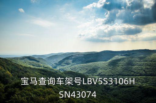 宝马查询车架号LBV5S3106HSN43074