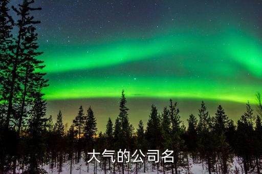 大气的公司名