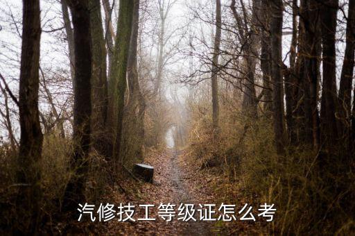 汽修技工等级证怎么考