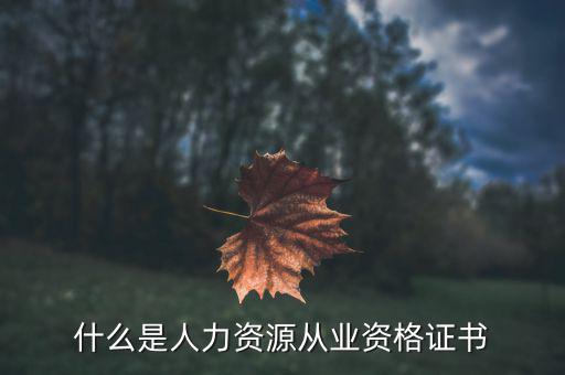 人力资源职业资格证，什么是人力资源从业资格证书