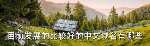 目前发展的比较好的中文域名有哪些