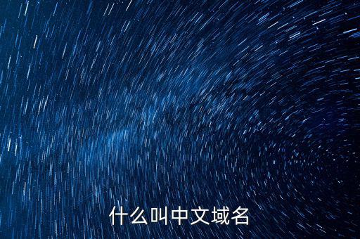 什么叫中文域名