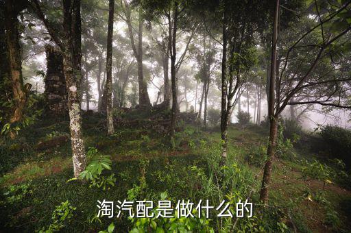 淘汽配是做什么的