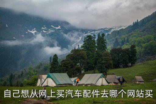 自己想从网上买汽车配件去哪个网站买