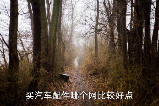 买汽车配件哪个网比较好点