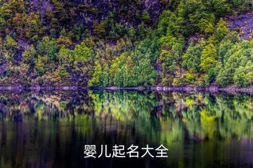 婴儿起名大全