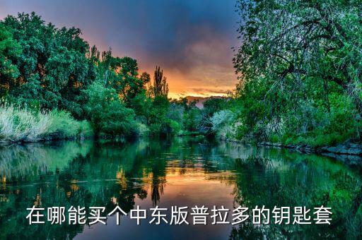在哪能买个中东版普拉多的钥匙套