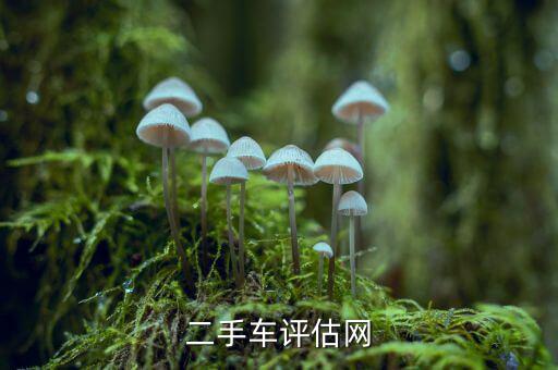 二手车评估网