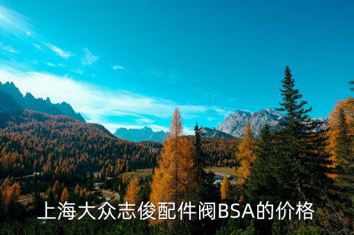 汽配城网上商城大众后杠尾猴饰条，上海大众志俊配件阀BSA的价格