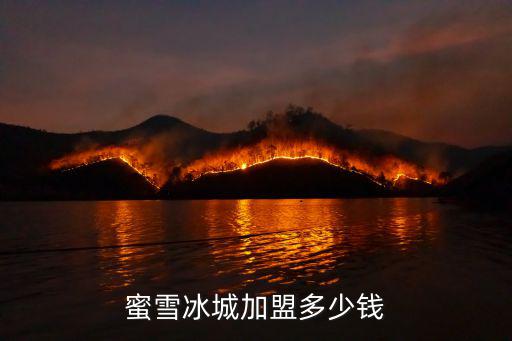 蜜雪冰城加盟多少钱