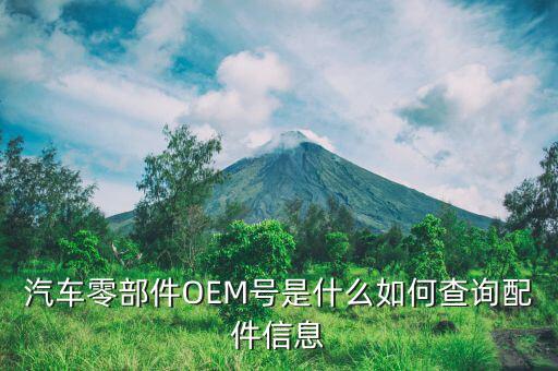汽车配件型号查询公众号，汽车配件零件号怎么查