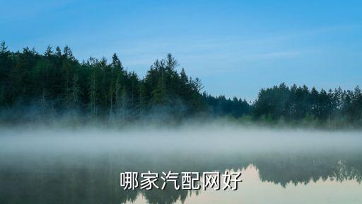全球汽配网釆购平台，哪家汽配网好