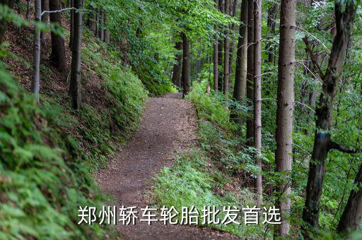 郑州轿车轮胎批发首选