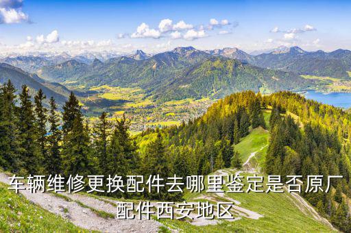 汽车配件鉴定中心，车辆维修更换配件去哪里鉴定是否原厂配件西安地区