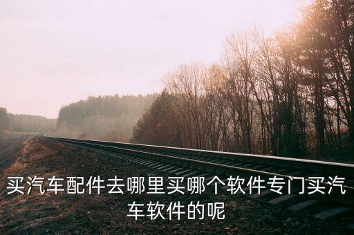 买汽车配件去哪里买哪个软件专门买汽车软件的呢