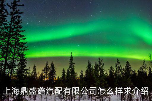 上海鼎盛鑫汽配有限公司怎么样求介绍