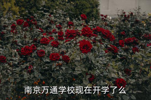 南京万通学校现在开学了么