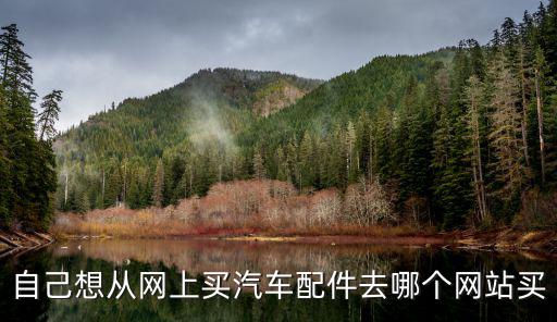 自己想从网上买汽车配件去哪个网站买