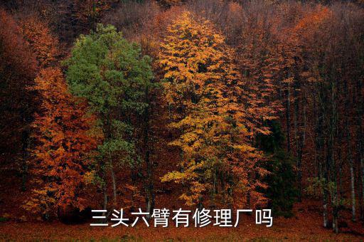 三头六臂有修理厂吗