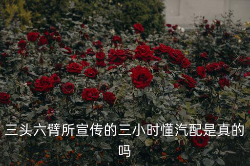 三头六臂所宣传的三小时懂汽配是真的吗