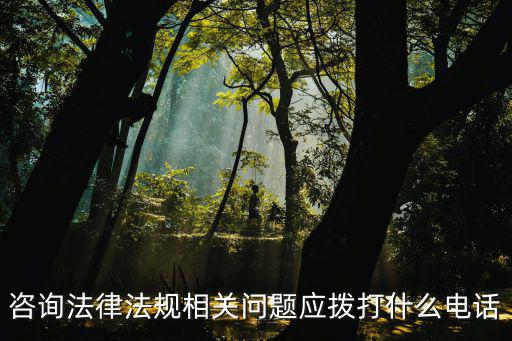 咨询法律法规相关问题应拨打什么电话