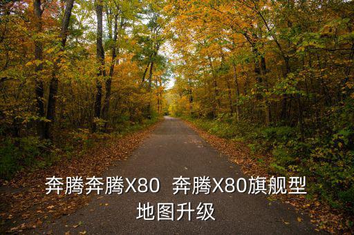 奔腾奔腾X80  奔腾X80旗舰型地图升级