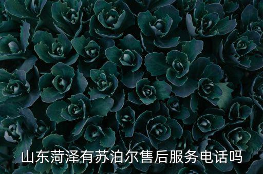 菏泽修车电话24小时服务，山东菏泽有苏泊尔售后服务电话吗