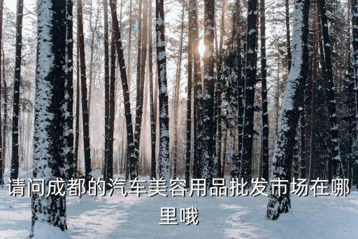 请问成都的汽车美容用品批发市场在哪里哦