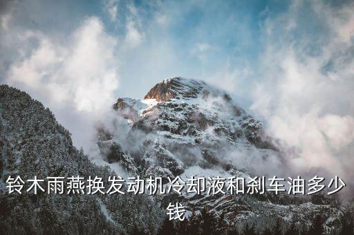 铃木雨燕换发动机冷却液和刹车油多少钱