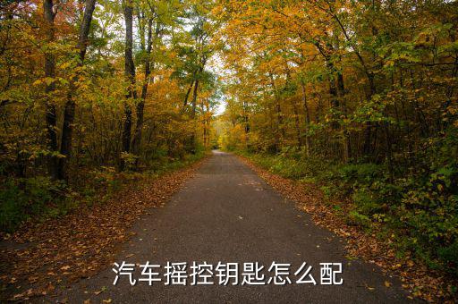汽车摇控钥匙怎么配