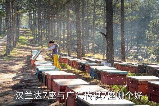 汉兰达7座与广汽传祺7座哪个好