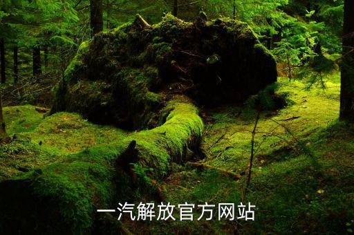 一汽解放官方网站