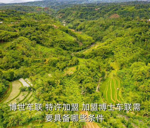 博世车联 特许加盟 加盟博士车联需要具备哪些条件