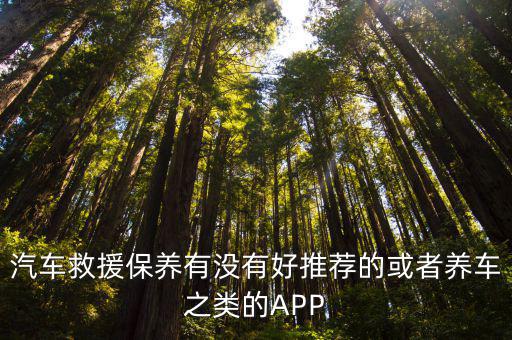 汽车救援保养有没有好推荐的或者养车之类的APP