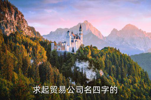 求起贸易公司名四字的