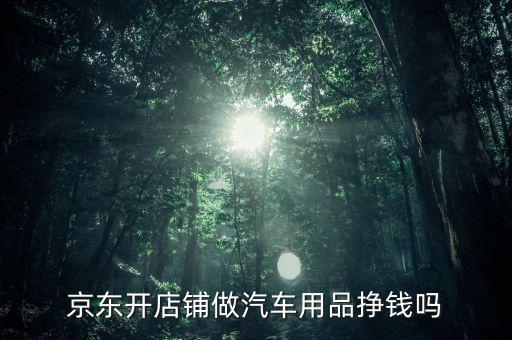 京东开店铺做汽车用品挣钱吗